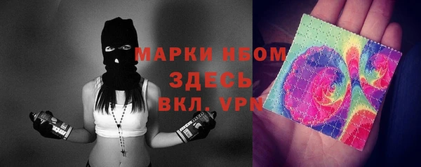 мдпв Горнозаводск