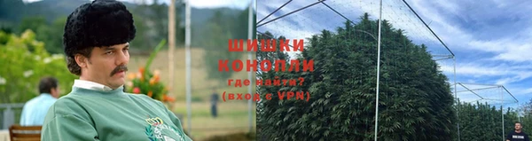 спиды Вяземский