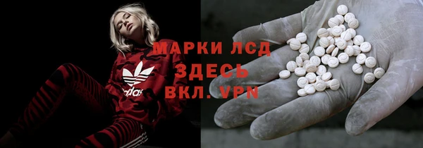 спиды Вяземский