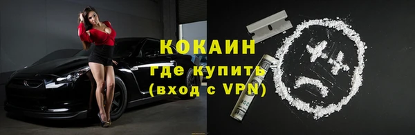 мдпв Горнозаводск