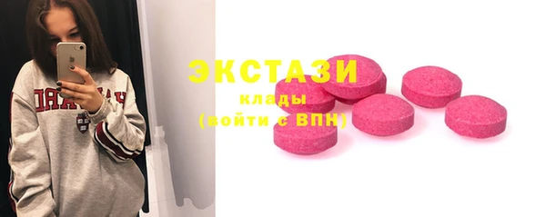 спиды Вяземский