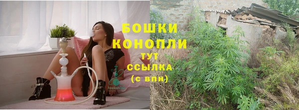 мдпв Горняк