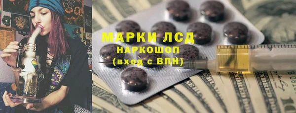 спиды Вяземский