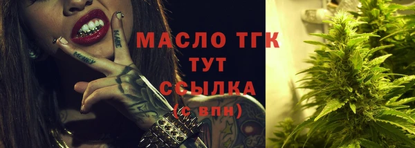 спиды Вяземский